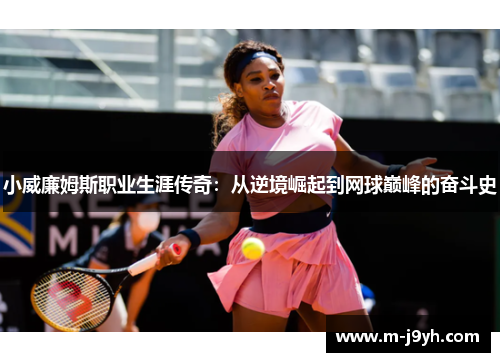小威廉姆斯职业生涯传奇:从逆境崛起到网球巅峰的奋斗史 小威廉姆斯职业生涯传奇:从逆境崛起到网球巅峰的奋斗史
