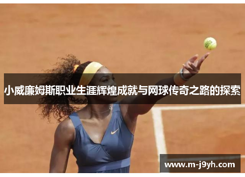 小威廉姆斯职业生涯辉煌成就与网球传奇之路的探索