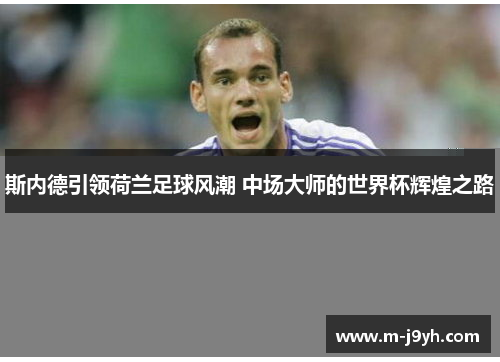 斯内德引领荷兰足球风潮 中场大师的世界杯辉煌之路 斯内德引领荷兰足球风潮 中场大师的世界杯辉煌之路