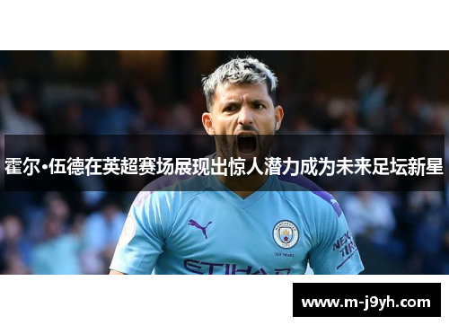 霍尔·伍德在英超赛场展现出惊人潜力成为未来足坛新星 霍尔·伍德在英超赛场展现出惊人潜力成为未来足坛新星