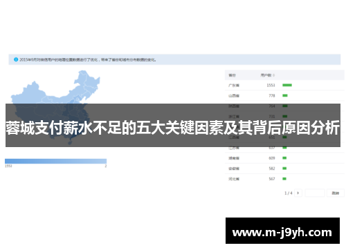蓉城支付薪水不足的五大关键因素及其背后原因分析