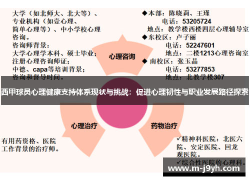 西甲球员心理健康支持体系现状与挑战：促进心理韧性与职业发展路径探索