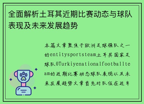 全面解析土耳其近期比赛动态与球队表现及未来发展趋势