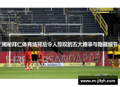 揭秘拜仁体育场背后令人惊叹的五大趣事与隐藏细节